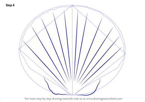 Learn How To Draw A Seashell Everyday Objects Step By Step Drawing