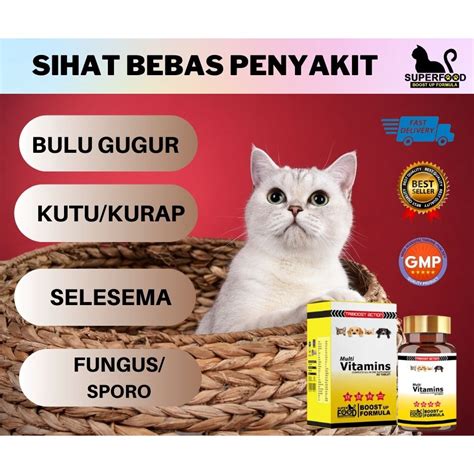 Vitamin Kucing Superfood Lebatkan Bulu Kucing Gemuk Tambah Selera Rawat