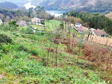 Terreno à venda na rua do Arijal 1 Caniçada e Soengas Vieira do