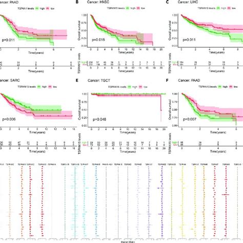 Survival Analysis And Cox Proportional Model Analysis Of Tspan Genes In