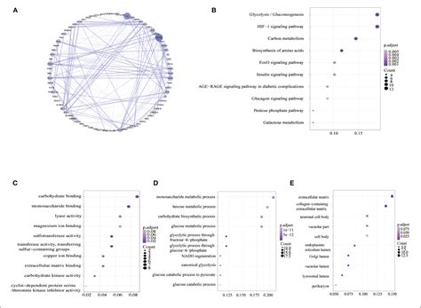 Figure 1 From Identifying Hypoxia Characteristics To Stratify Prognosis