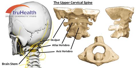 Upper Cervical Chiropractic Truhealth Chiropractic