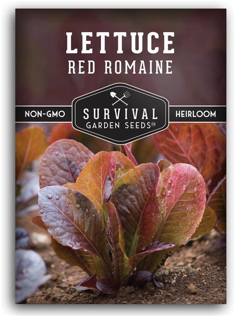 Semilla De Lechuga Romana Roja Para Plantar Paquete Con