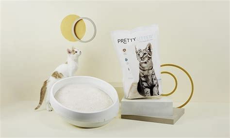 8 Ways Prettylitter Is Crushing The Cat Litter Competition