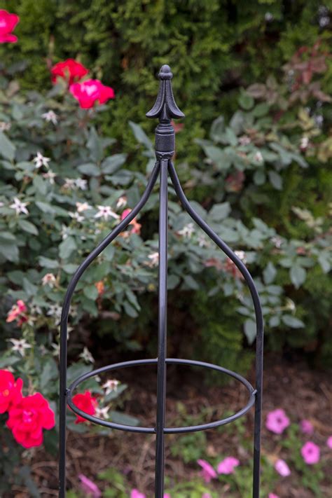 Wrought Iron Obelisk Trellis