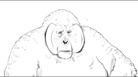 How To Draw Gorilla King Louie From Jungle Book Youtube