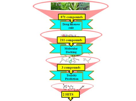 In Silico Screening Of Phytochemicals Targeting Smdcd Of Streptococcus