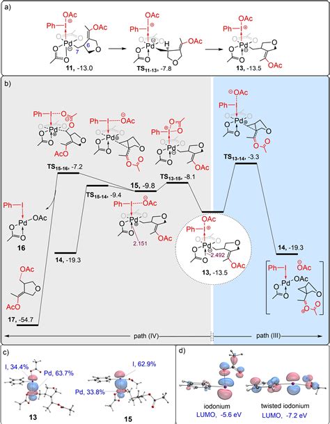 Factors Influencing The Chemoselectivity Of Pd Oac 2‐catalyzed Cyclization Reactions Involving 1