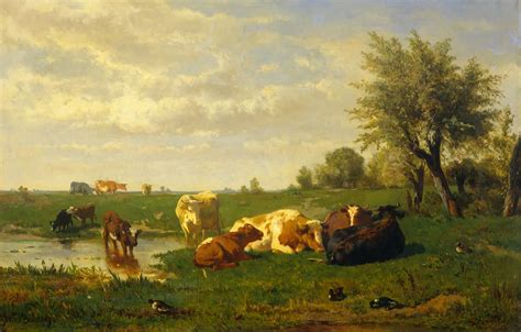 Wallpaper Picture Cows On The Meadow Albert Gerard Bilders Landscape