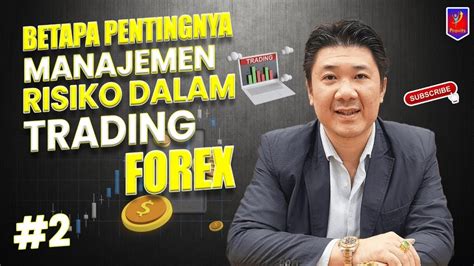 Strategi Trading Forex Pemula Terbaik Profit Konsisten Provits