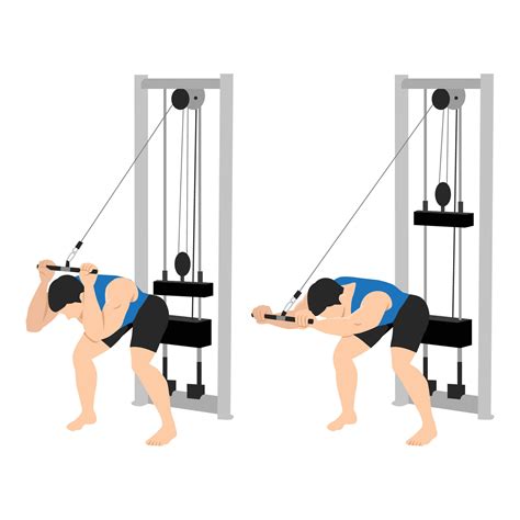 Man Doing Cable Bent Over Triceps Extension Exercise 33508017 Vector Art At Vecteezy