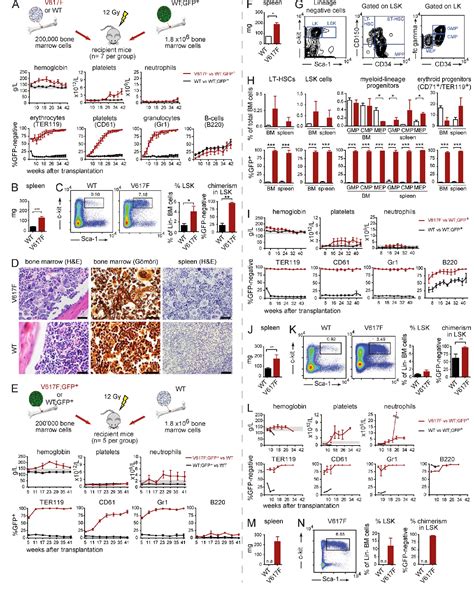 Figure 1 From Myeloproliferative Neoplasms Can Be Initiated From A