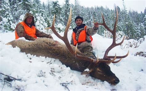 Elk Hunting Trips | Montana Hunting Outfitter