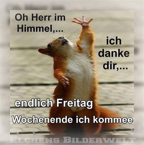 Freitag Gb Pics Freitag Bilder Lustig Endlich Freitag Bilder Und