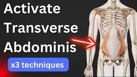 How To Activate Your Transverse Abdominis Muscle Pelvic Floor YouTube