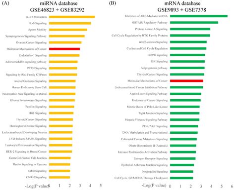 Ingenuity Pathway Analysis IPA Top Key Pathways Associated With