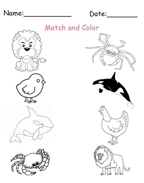 Printable Matching Animals Worksheets