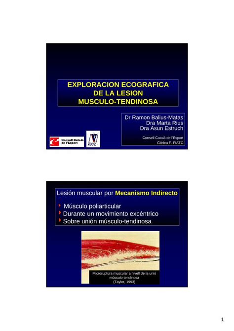 Pdf Exploracion Ecografica De La Lesion Musculo Aula Acemefide Org