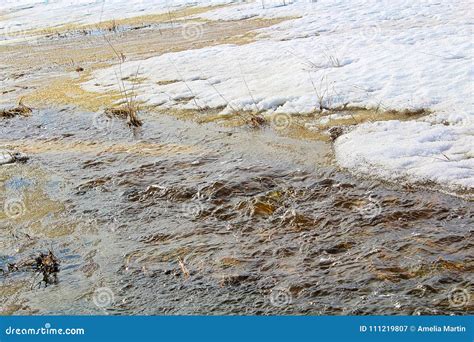 Water Flowing Along Farmland During The Spring Melt Stock Image Image