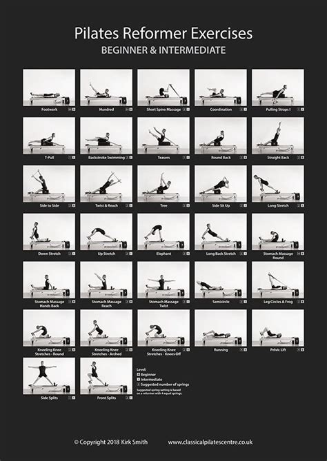 Large A1 Pilates Reformer Poster Beginner And Intermediate