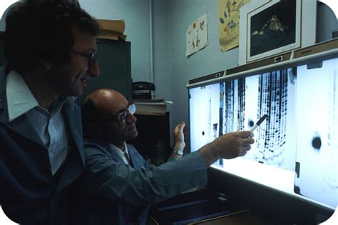 Genetic Code ( Read ) | Chemistry | CK-12 Foundation 