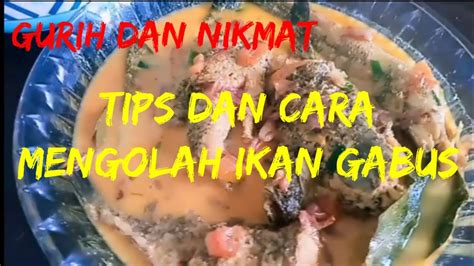 CARA MENGOLAH IKAN GABUS HASIL MANCING CASTING Ikangabus Mancing