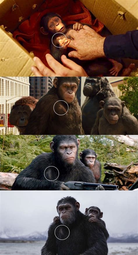 Caesar Carries A Birthmark Throughout His Planet Of The Apes Trilogy