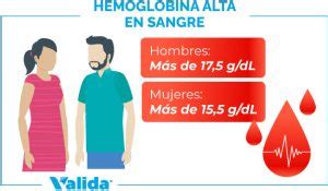 Hemoglobina Corpuscular Media Alta Qu Es Y Tratamiento