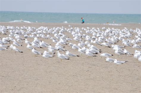 Headlands Beach State Park Mentor Updated 2021 All You Need To Know