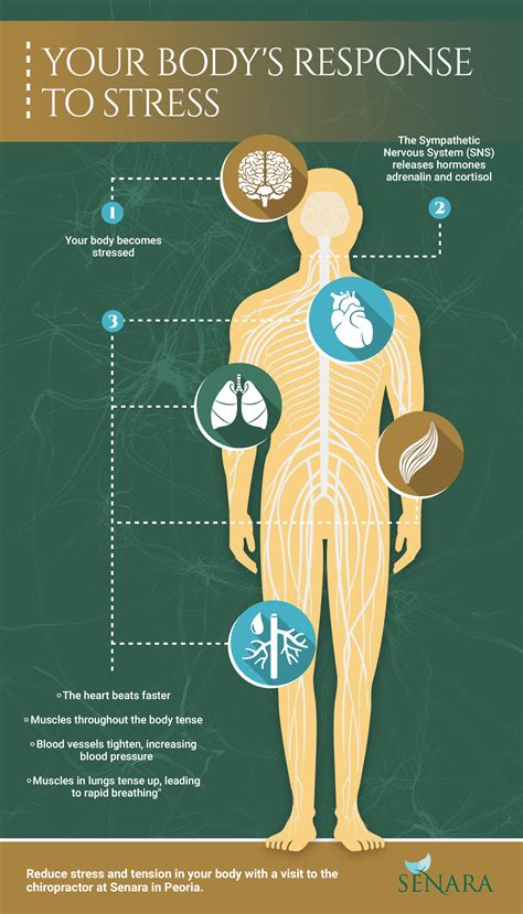 Working From Home — Stress And The Nervous System Senara Health And