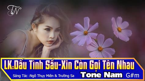 LK Dấu Tình Sầu Xin Còn Gọi Tên Nhau Tone Nam KARAOKE TaVaNhac