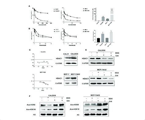 Effects Of Chidamide Chi And Or Doxorubicin Dox On The Viability