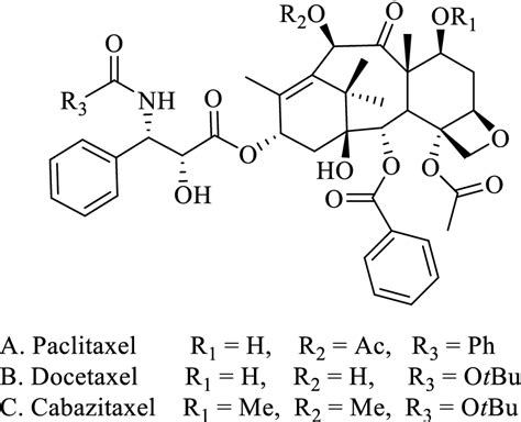 Structures Of Paclitaxel Docetaxel And Cabazitaxel Download