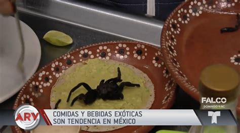 Te comerías un taco de TARÁNTULA Comidas y bebidas exóticas son