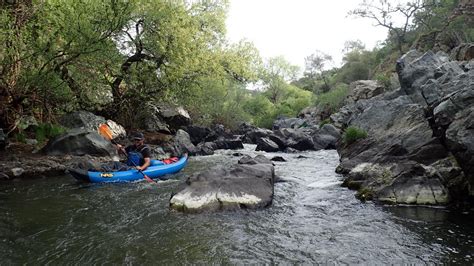 Calaveras River Monitoring Program - FISHBIO | Fisheries Consultants