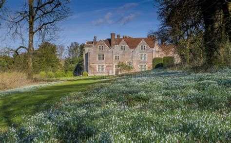 Snowdrops At Chawton House Hampshire Stock Image Image Of Edward