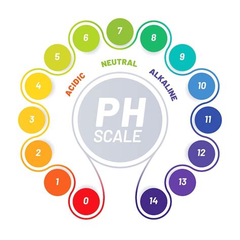 Premium Vector | PH scale of food acid balance chart indicators