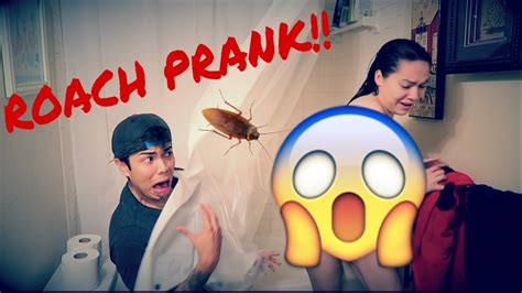 Hilarious Roach Prank On Girlfriend Youtube