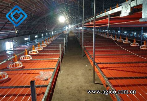 Building Automated Poultry Farm Transforming From Manual To Automated