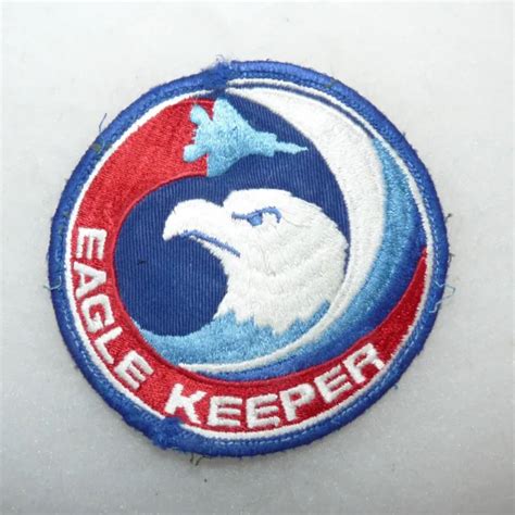 USAF 318TH FIGHTER Interceptor Squadron FIS F 15 Eagle Keeper Patch