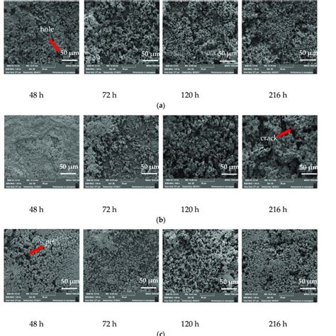 Sem Images Of Surface Morphology Of Three Metal Coatings After