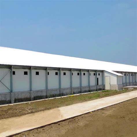 Prefabricated Steel Structure Building For Poultry Farming Chicken