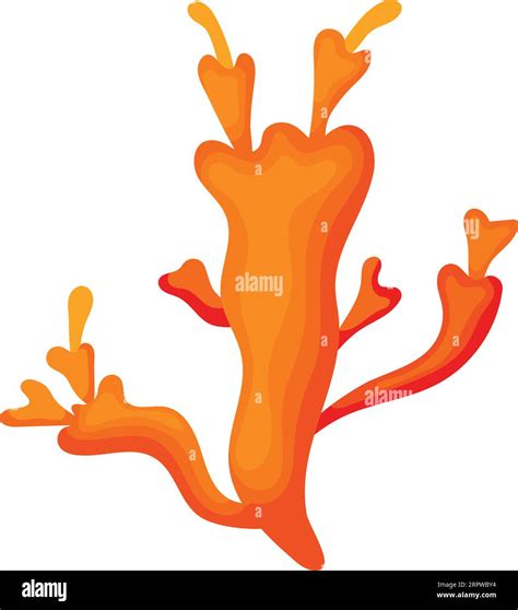 Coral Reef Clipart Png