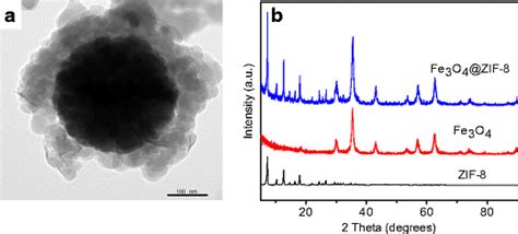 Tem Image Of The Fe3o4 Zif 8 A With Amplification Factor Of 40 000