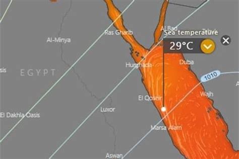 3 ظواهر جوية الأرصاد تُحذر من حالة الطقس من الخميس حتى الاثنين بيان