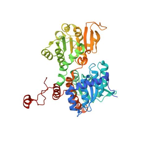 Rcsb Pdb Ajv Crystal Structure Of The Q N Mutant Of S Adenosyl L