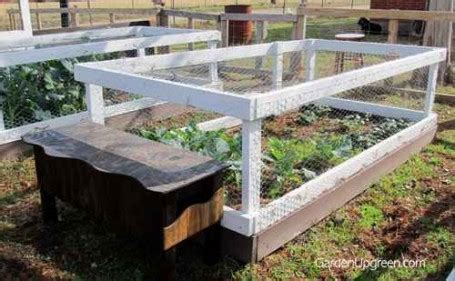 Diy Quail Hutch Ideas And Designs Homestead Survival