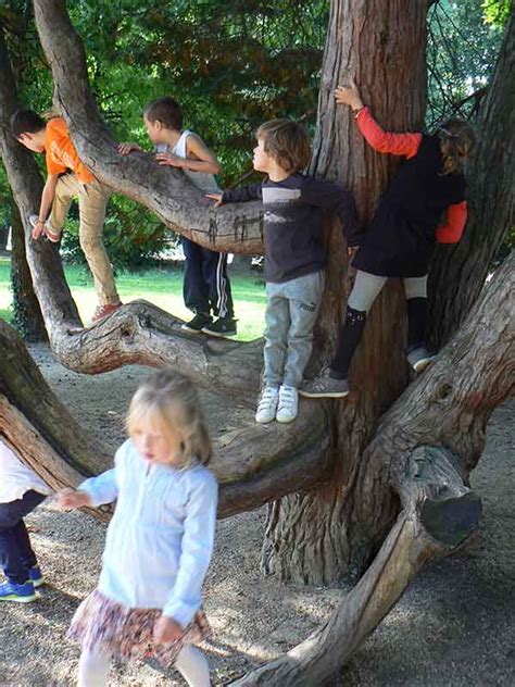 Raconte Moi Ton Arbre Un Euro Ne Fait Pas Le Printemps