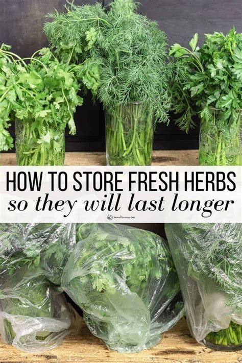 Fresh Herbs Are In Vases With The Words How To Store Fresh Herbs So