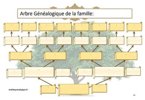 Mod Les D Arbre G N Alogique Vierge Remplir Gratuit En